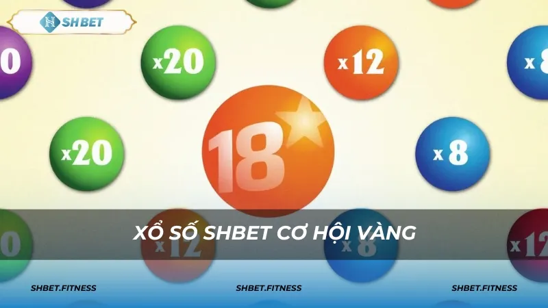 Cách cược bao lô 2D, 3D, 4D tại nhà cái SHBET